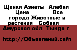 Щенки Азиаты (Алабаи) › Цена ­ 20 000 - Все города Животные и растения » Собаки   . Амурская обл.,Тында г.